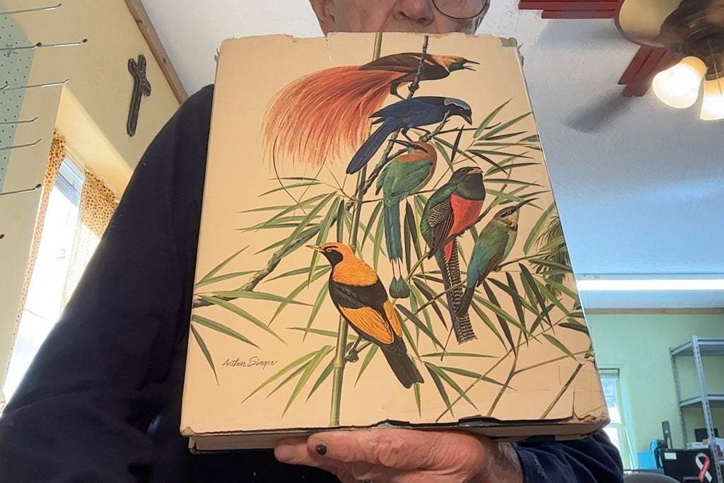 BIRDS of The World , a Wonderful Collection of Beautifully illustrarted Avians2