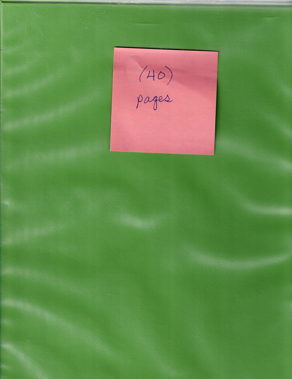 LIME GREEN NOTEBOOK WITH (40) empty full page protective holders for Mint Sheets0