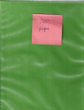 LIME GREEN NOTEBOOK WITH (40) empty full page protective holders for Mint Sheets0