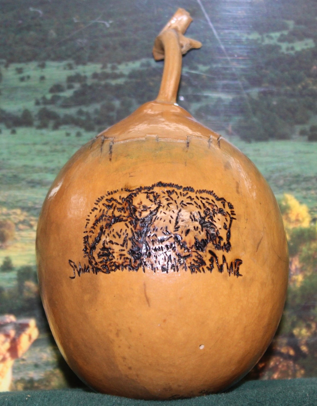 Bear Cave ART. Please look at ALL the pics B4 U decide not to look at all!!!4