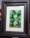Photo I Call "Z" in Nice Picture Frame County Fair Junior Winner!! 18 yrs ago!!0
