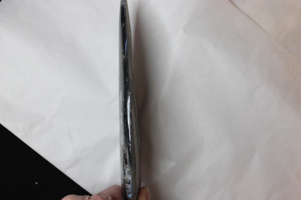 Fossil Orthoceras long conconical segmented shape 350-400 million yrs old3