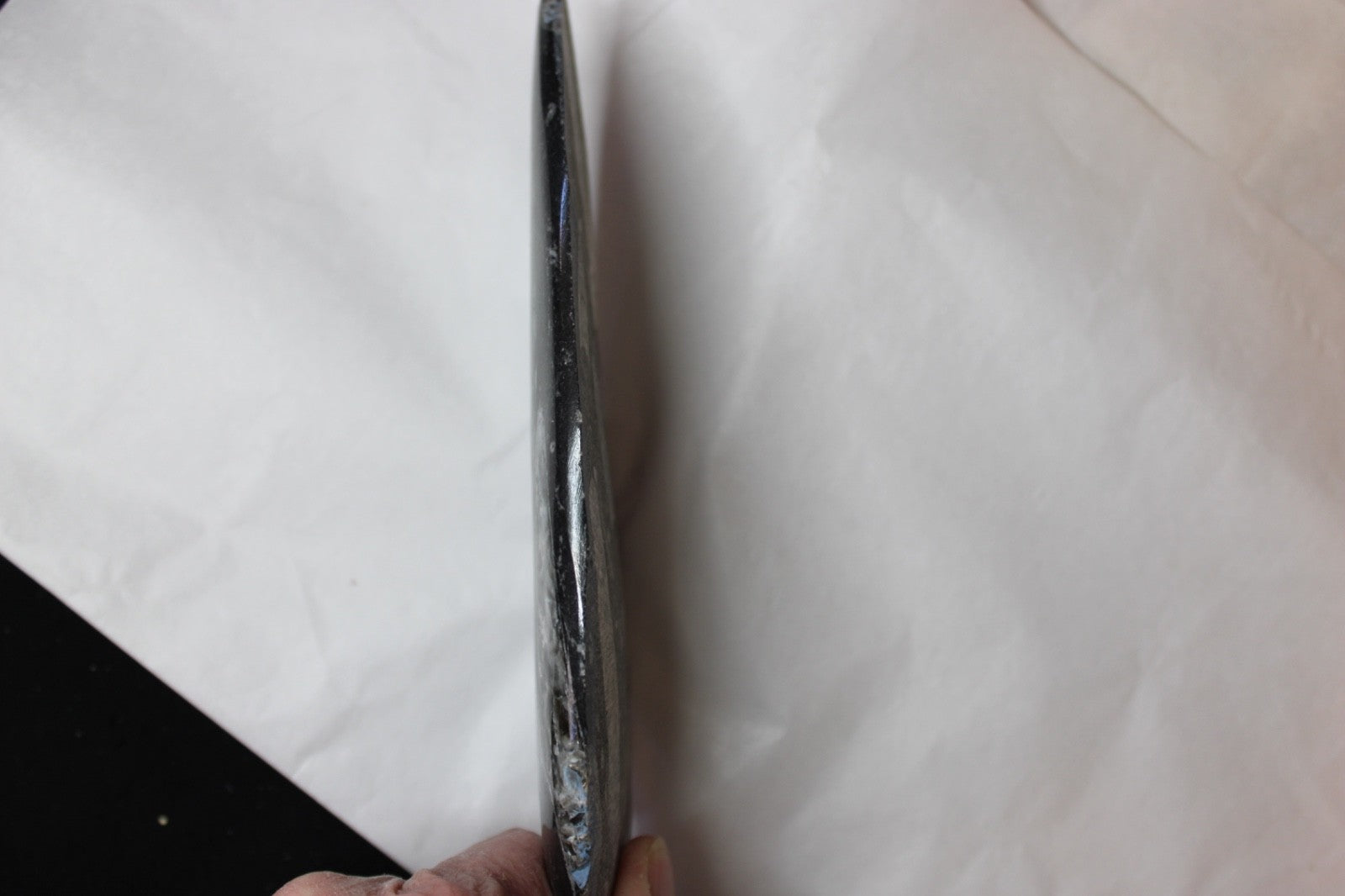 Fossil Orthoceras long conconical segmented shape 350-400 million yrs old3