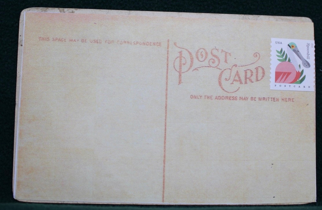 Mail a 100 yr old postcard to friends & family this Christmas!!1
