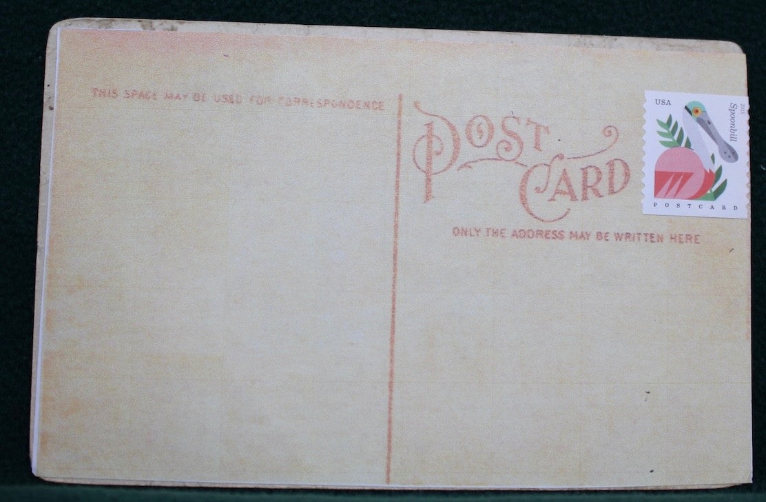 Mail a 100 yr old postcard to friends & family this Christmas!!1