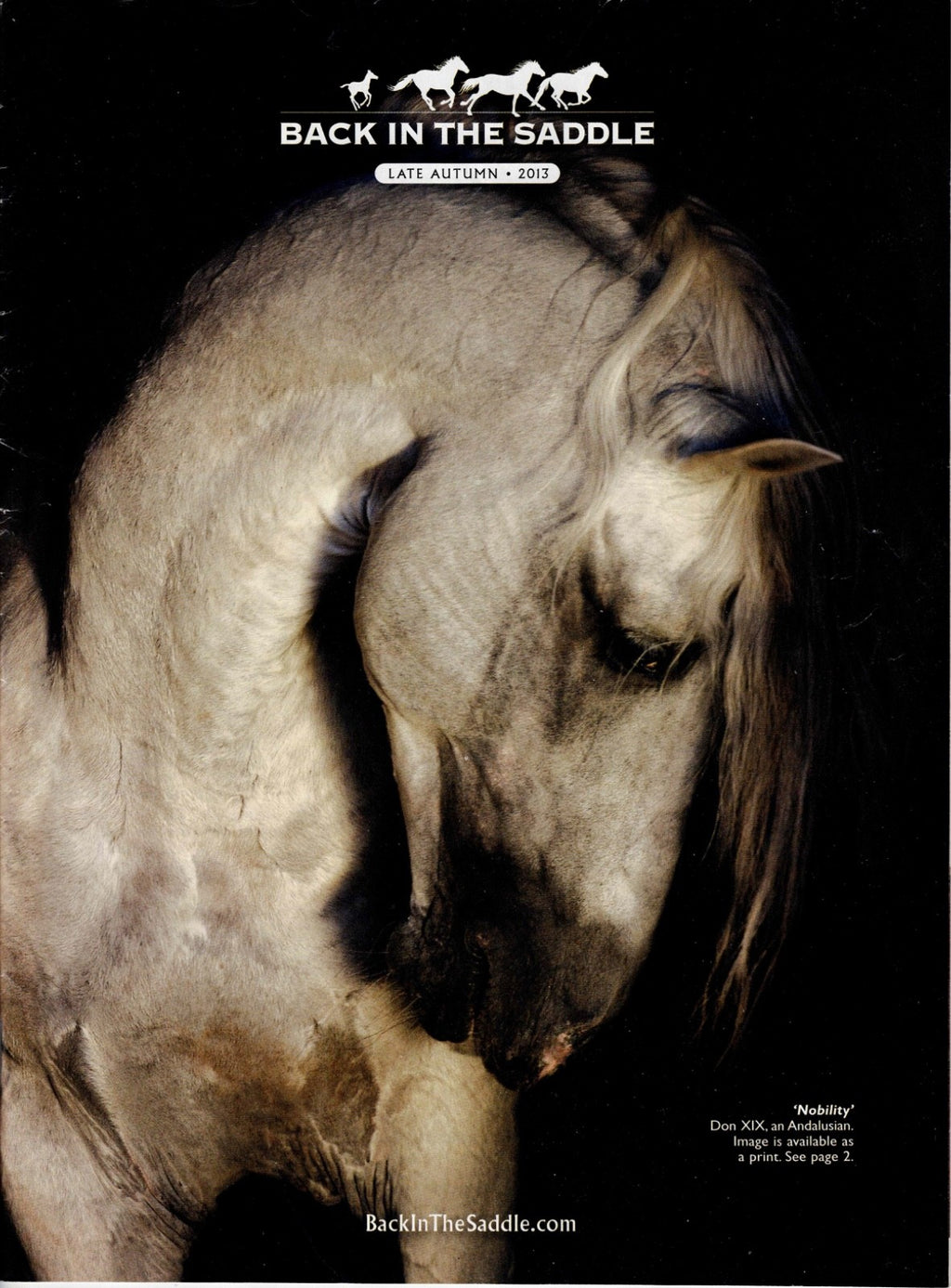 2 Back in The Saddle Late Autumn 2013 Horse on Front Cover is called "Nobility"0