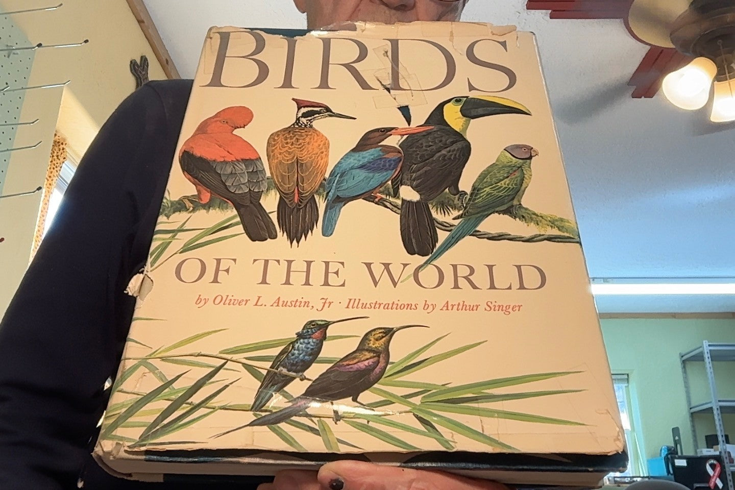 BIRDS of The World , a Wonderful Collection of Beautifully illustrarted Avians1