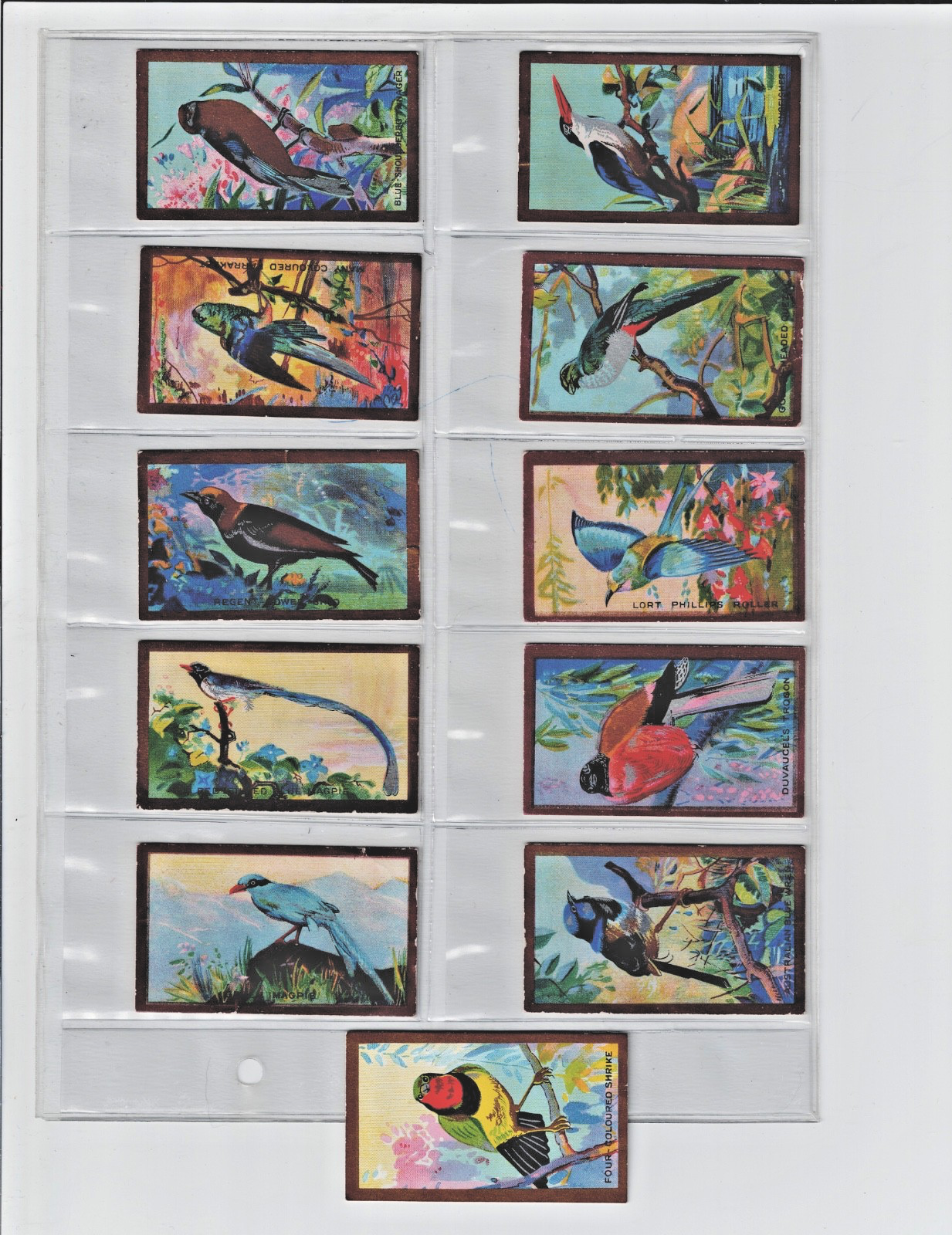 1926 Collector Cards Foreign Birds Issued by CAVANDERS LTD LONDON, ENGLAND.0