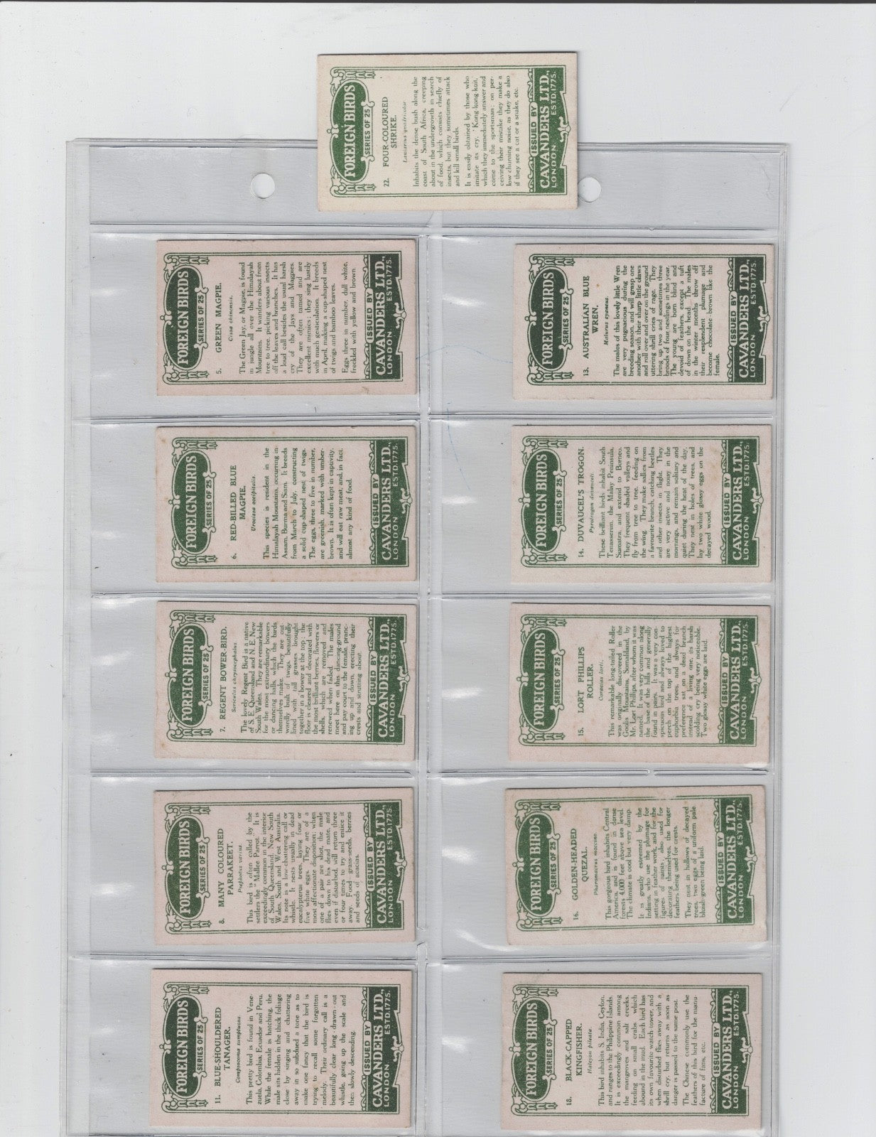 1926 Collector Cards Foreign Birds Issued by CAVANDERS LTD LONDON, ENGLAND.1