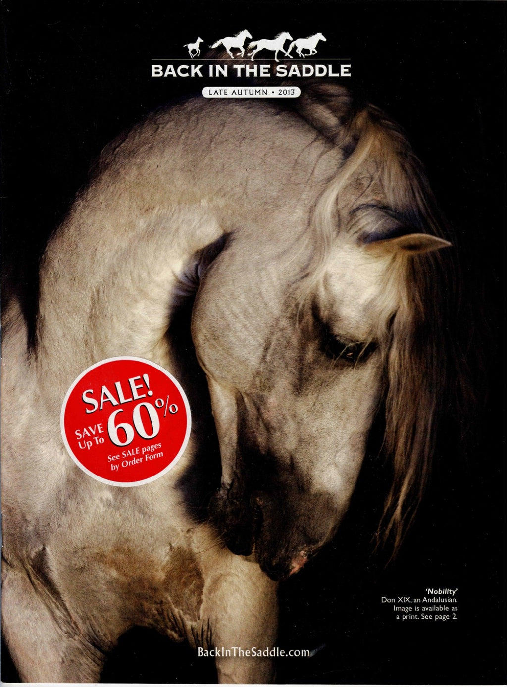 2 Back in The Saddle Late Autumn 2013 Horse on Front Cover is called "Nobility"1