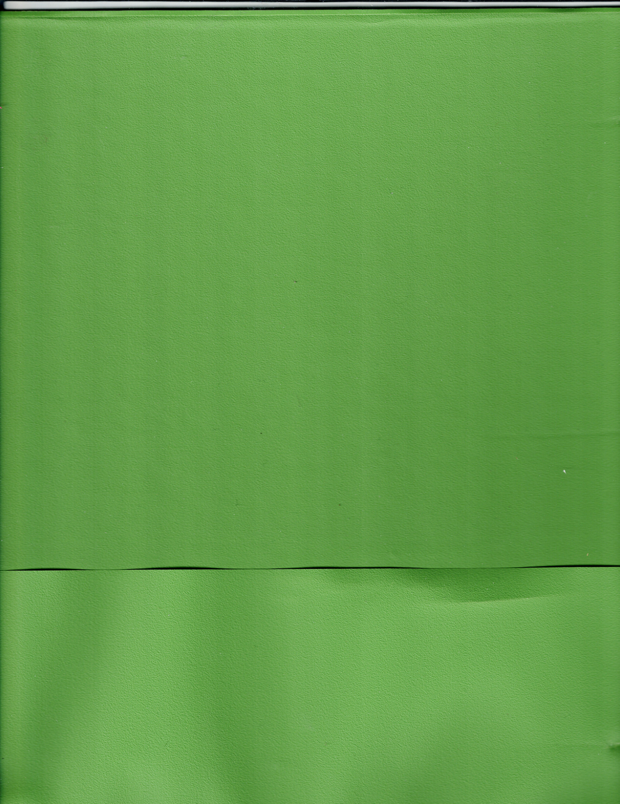 LIME GREEN NOTEBOOK WITH (40) empty full page protective holders for Mint Sheets5
