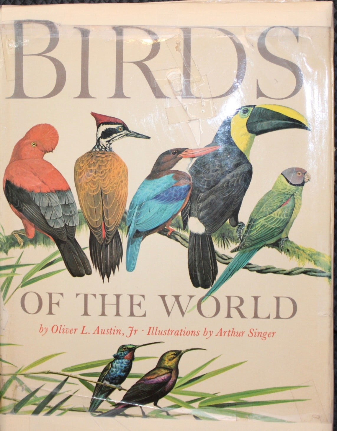 BIRDS of The World , a Wonderful Collection of Beautifully illustrarted Avians0