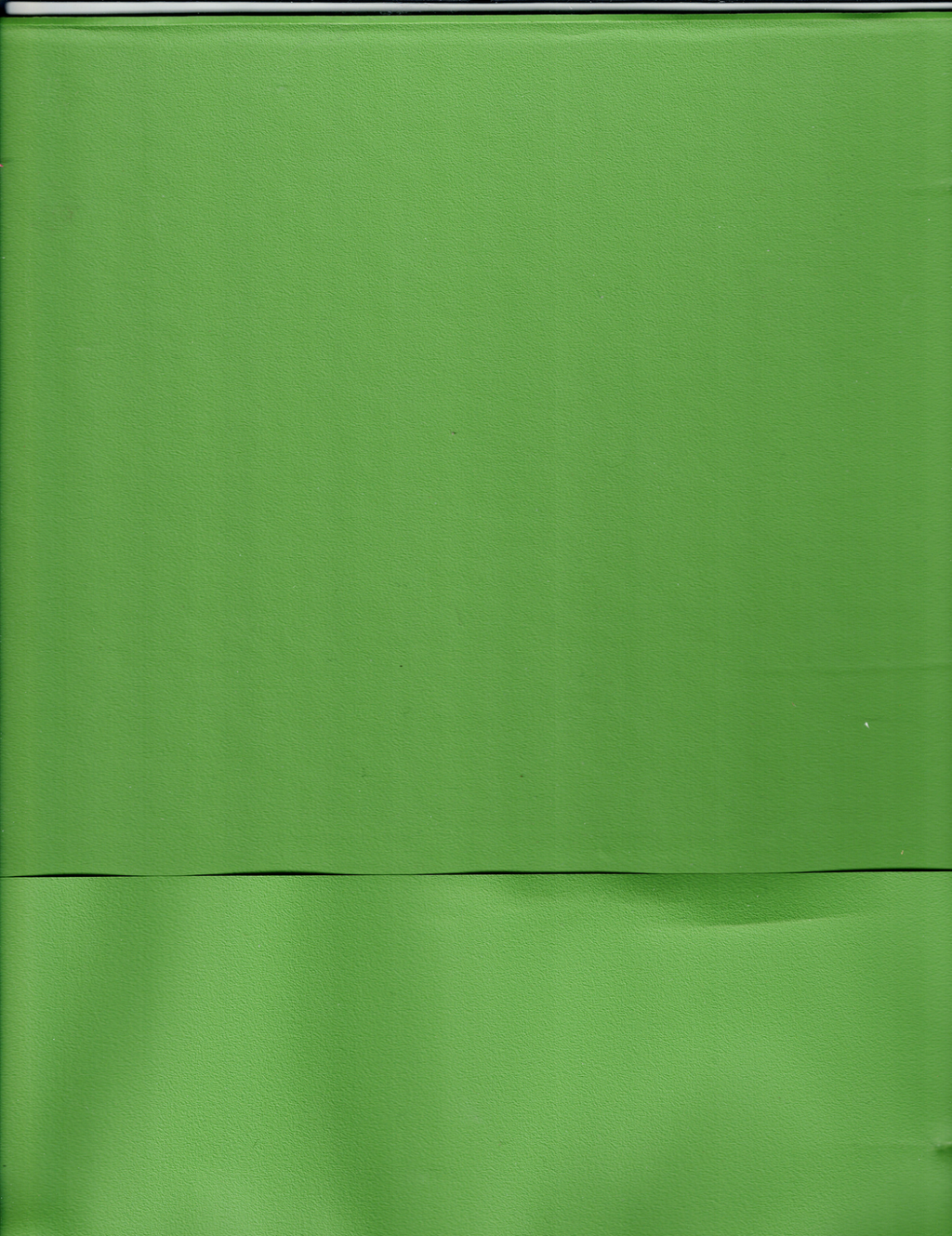 LIME GREEN NOTEBOOK WITH (40) empty full page protective holders for Mint Sheets2